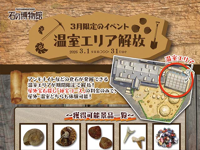 📢３月限定！アンモナイトなどの化石が発掘できる"温室エリア"解放